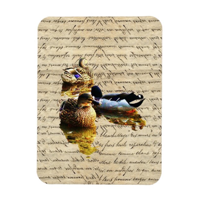 Ducks on vintage paper magnet (Vertical)