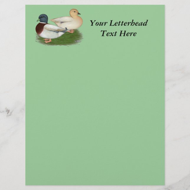 Ducks:  Pastel Calls (Front)