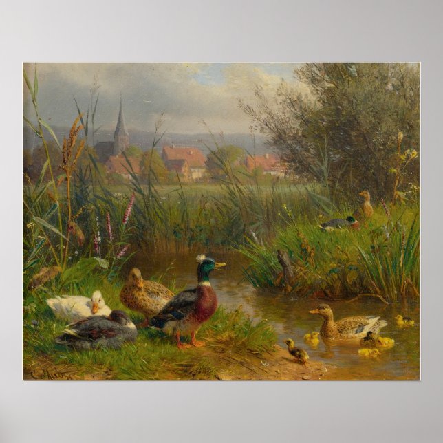 Ducks Poster (Front)