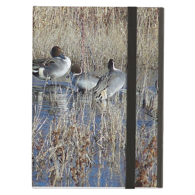 Ducks Powis iCase iPad Air Cover (Front Closed)
