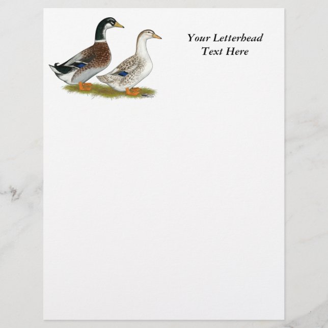 Ducks:  Silver Appleyard (Front)