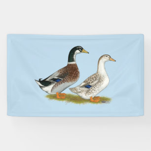 Ducks: Silver Appleyard Banner
