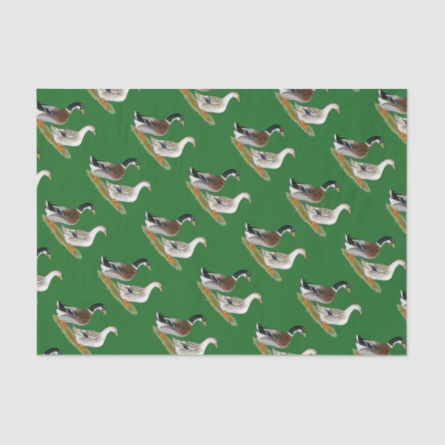 Ducks:  Silver Appleyard Tissue Paper (Front)