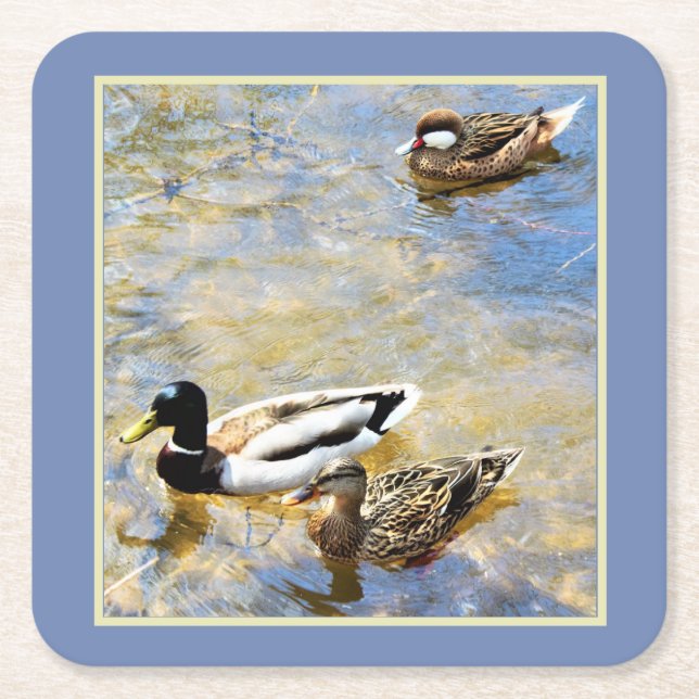 Ducks Square Paper Coaster (Front)