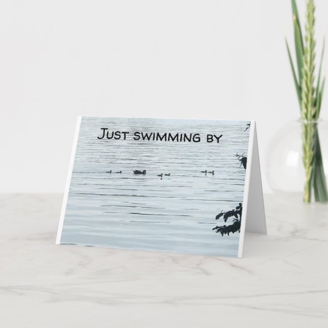 **DUCKS WANT TO BE FORGIVEN** BELATED BIRTHDAY CARD (Front)