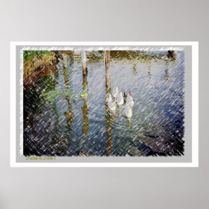 Ducks Watercolor Print