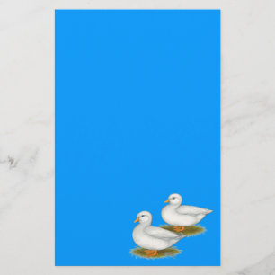 Ducks: White Calls