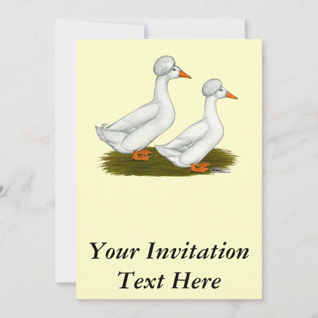 Ducks:  White Crested Invitation (Front)