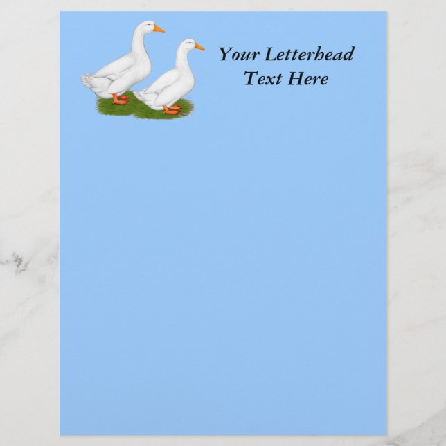 Ducks:  White Pekins (Front)
