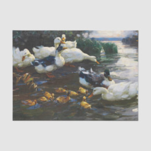 Ducks with Chicks in the Water, Alexander Koester Tissue Paper