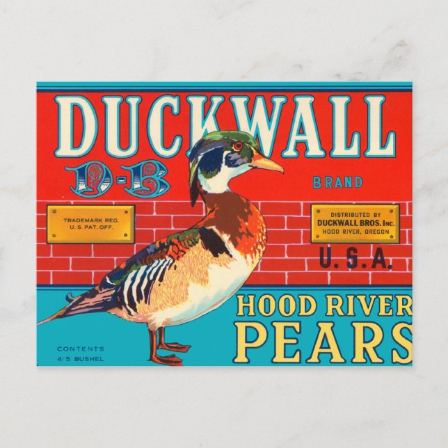 Duckwall Brand Postcard (Front)