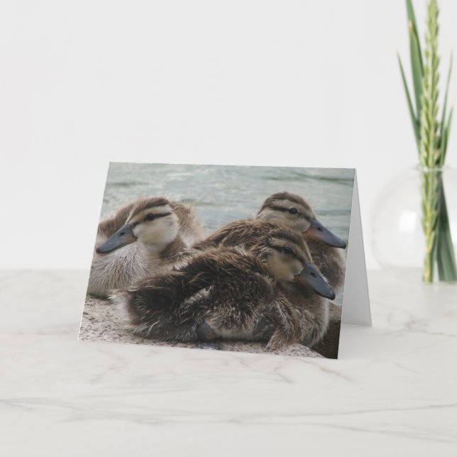 Ducky Day Greeting Card (Front)