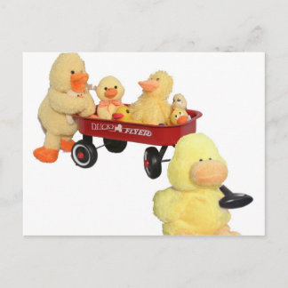 Ducky Flyer Postcard