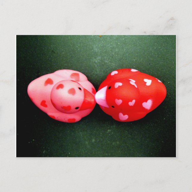 Ducky Love Postcard (Front)