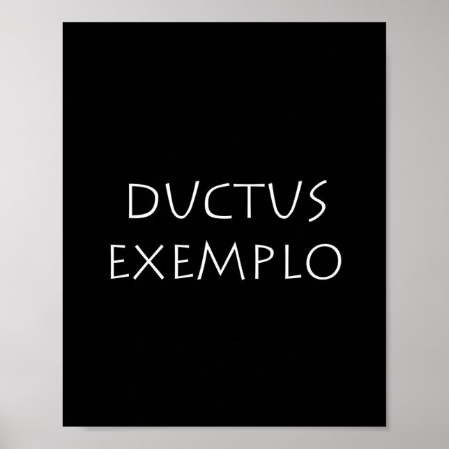Ductus exemplo poster (Front)