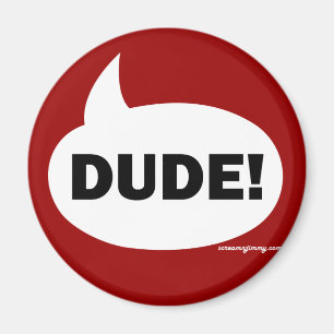 DUDE 1b Magnet