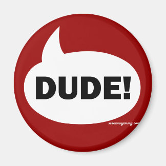 DUDE 1b Magnet