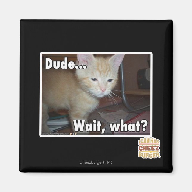 Dude Magnet (Front)