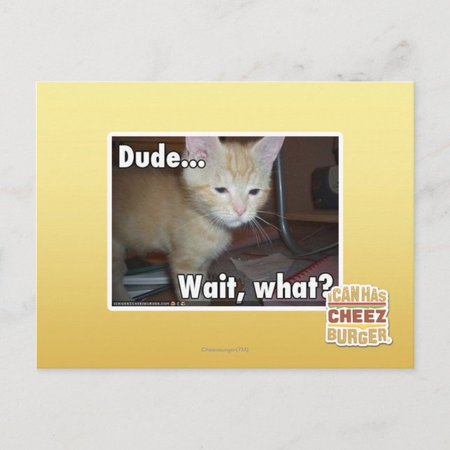 Dude Postcard (Front)