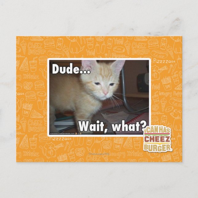 Dude Postcard (Front)
