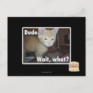 Dude Postcard