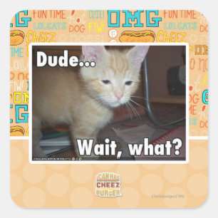 Dude Square Sticker