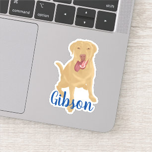 Dudley Labrador retriever 