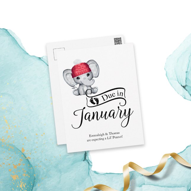 Due in January Little Peanut Baby Elephant Postcard (Creator Uploaded)