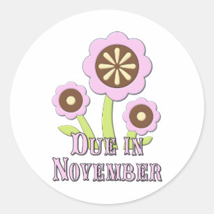 Due in November Expectant Mother Classic Round Sticker