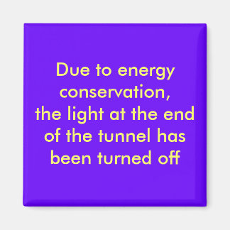 Due to energy conservation, the light at the en... magnet
