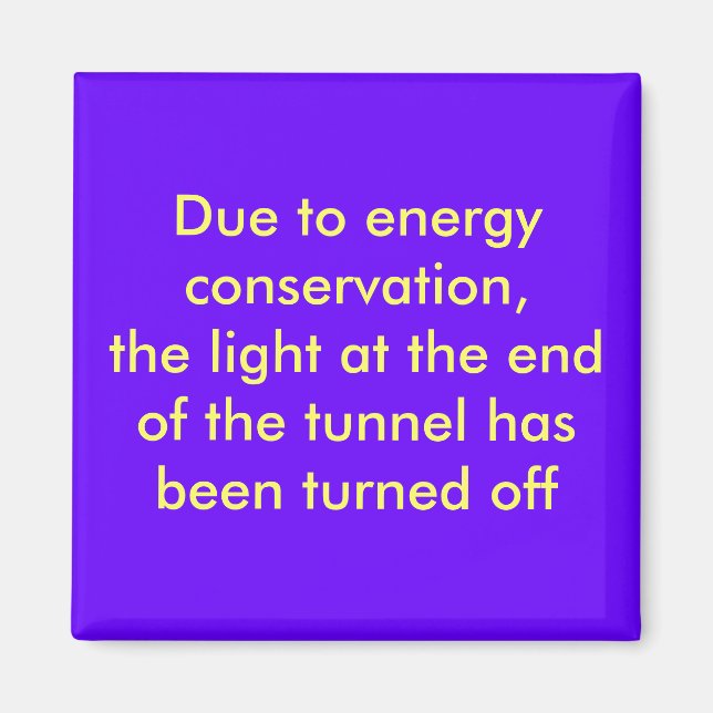 Due to energy conservation, the light at the en... magnet (Front)