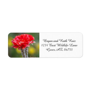 Duet of Firelight cactus flower Return Address Label