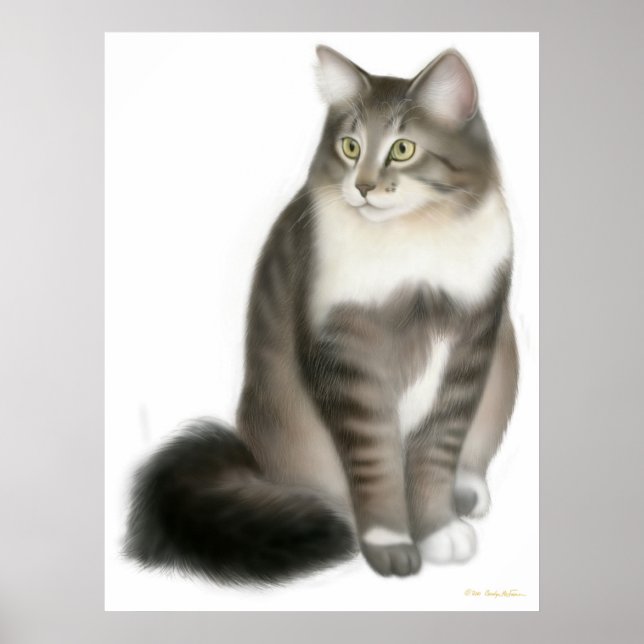 Duffy the Maine Coon Cat Print (Front)