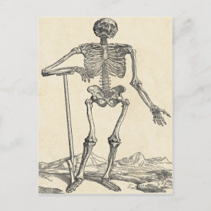 Dug His Own Grave Postcard