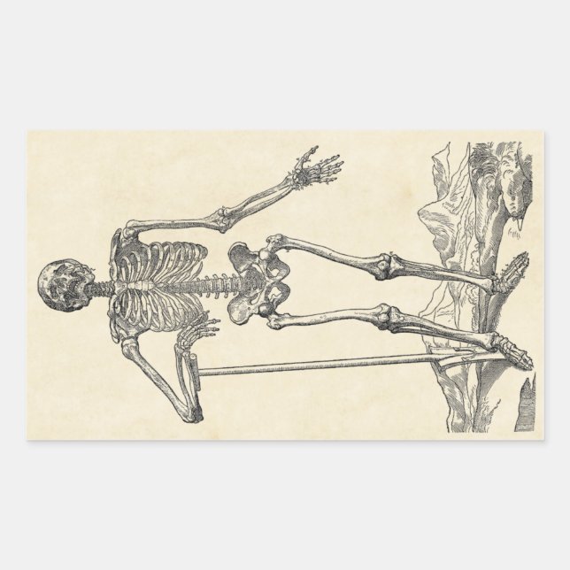 Dug His Own Grave Sticker (Front)