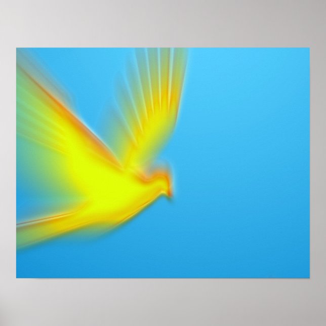 duif 03 poster (Front)