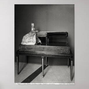 Dulcimer Player Poster