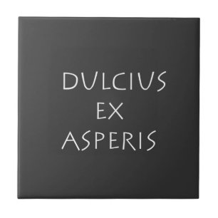 Dulcius ex asperis ceramic tile