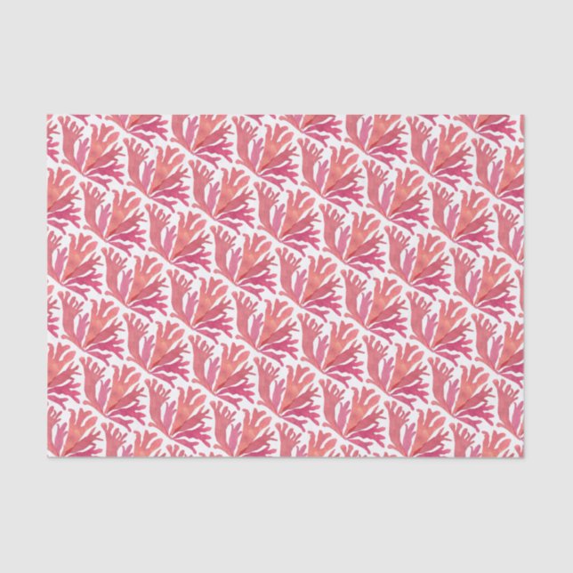 Dulse Tissue Paper (Front)