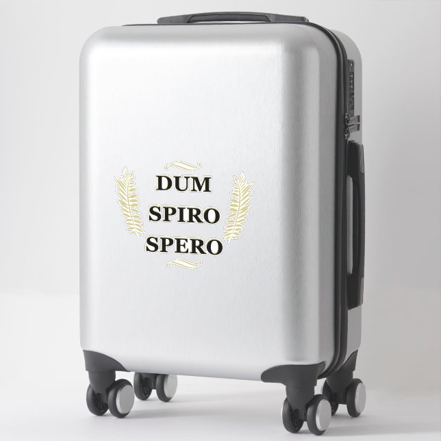 Dum spiro spero (Suitcase)