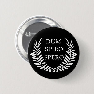 dum spiro spero 6 cm round badge