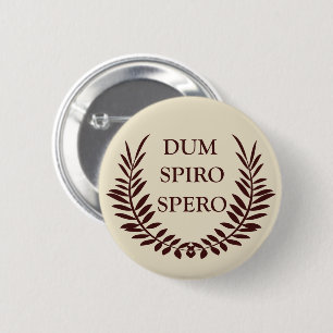 dum spiro spero 6 cm round badge