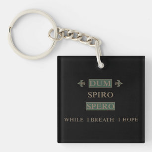 Dum spiro spero key ring