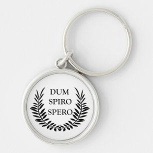 dum spiro spero, latin phrase key ring