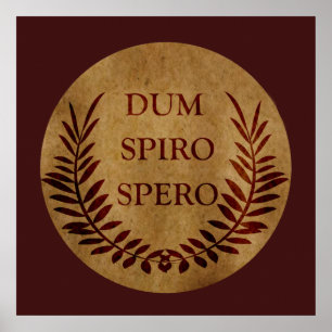 dum spiro spero, latin phrase poster