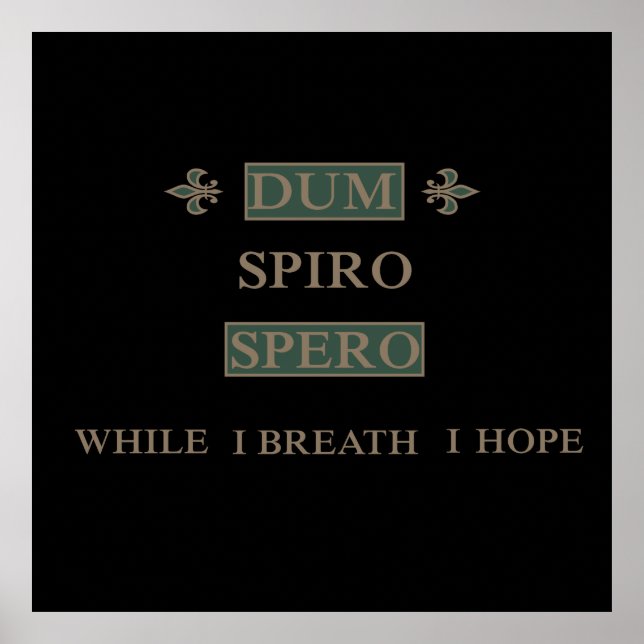 Dum spiro spero poster (Front)