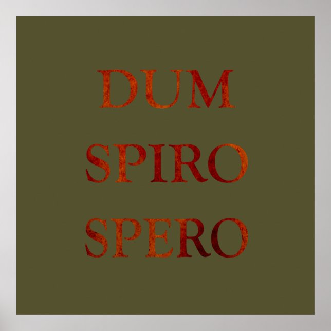 Dum spiro spero poster (Front)