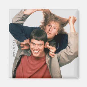 Dumb and Dumber   Lloyd and Harry Magnet