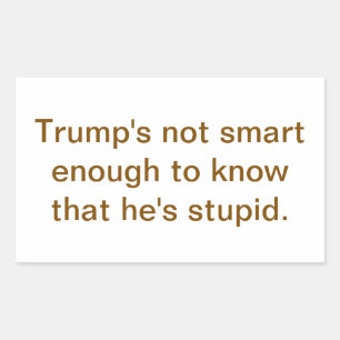 Dumb Stupid Trump's Not Smart Hankamer Artjunkhaus Rectangular Sticker