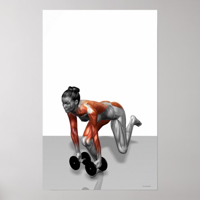 Dumbbell Single Leg Deadlift 2 Poster (Front)